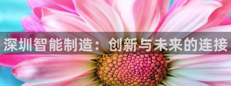天辰娱乐557696