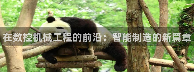 天辰娱乐 44516