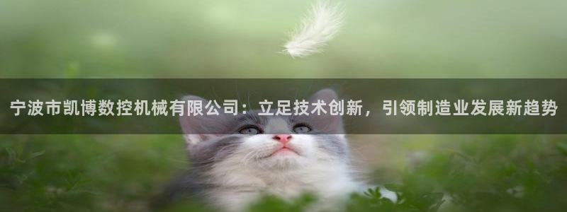天辰娱乐内部