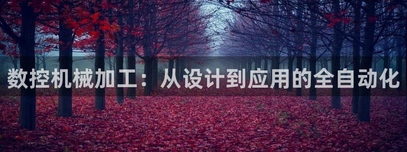 天辰娱乐国际