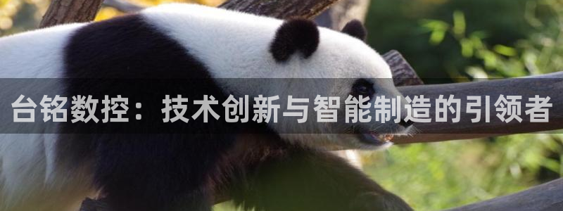 天辰娱乐指尖所
