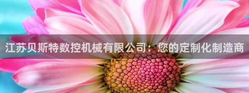 天辰娱乐481928