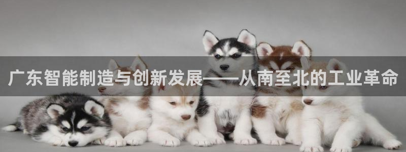 天辰娱乐游戏平台怎么样