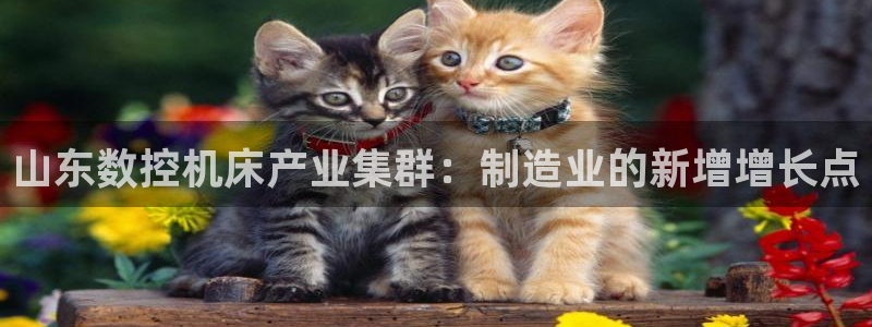 天辰娱乐国际