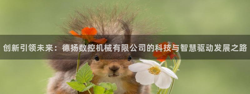 天辰宝宝娱乐
