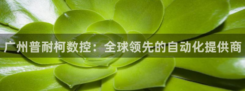 天辰娱乐解封