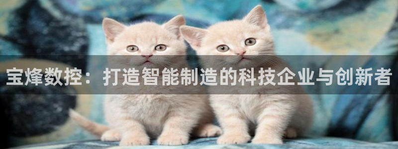 天辰娱乐服务