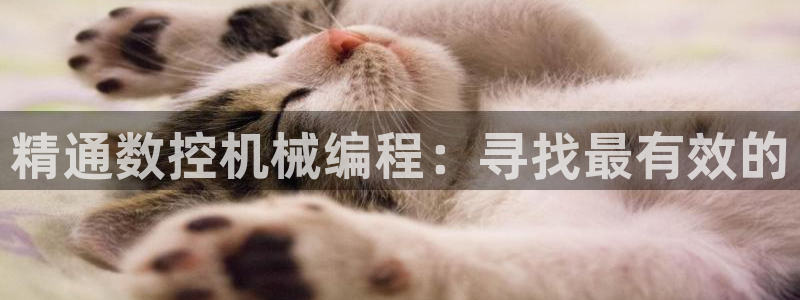 天辰宝娱乐