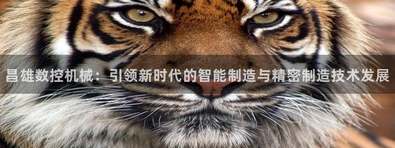 天辰娱乐链接