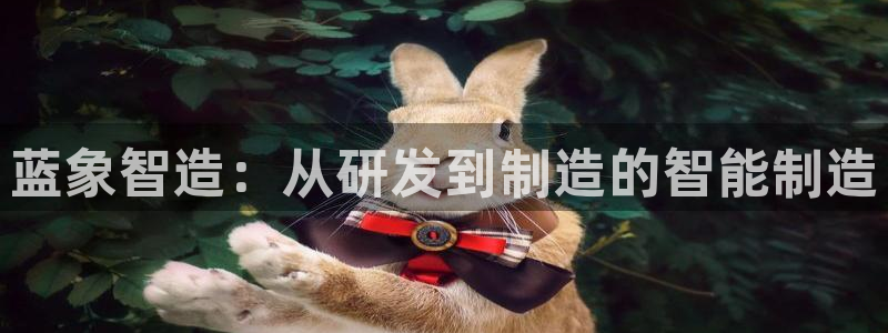 天辰娱乐软件