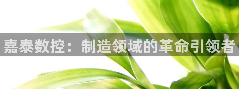 天辰娱乐登录网址