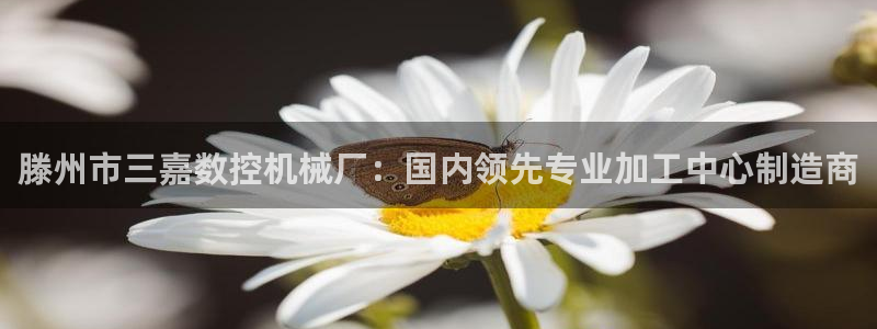 天辰娱乐代理