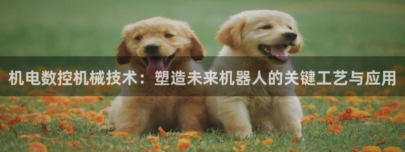 天辰娱乐厕所