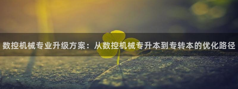 天辰娱乐平台地址在哪里