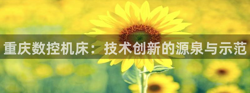 天辰娱乐1966