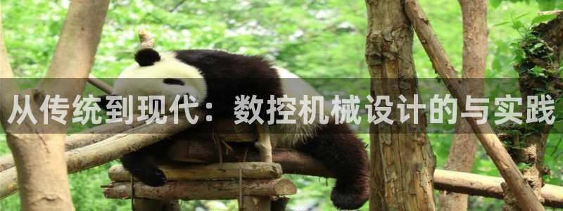 深圳天辰娱乐