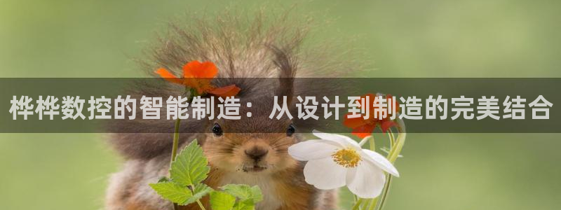 天辰娱乐平台地址在哪里
