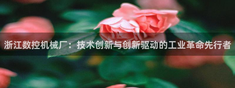 天辰娱乐 44516：浙江数控机械厂：技术创新与创新驱动的工业革命先行者