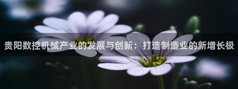 辰天娱乐