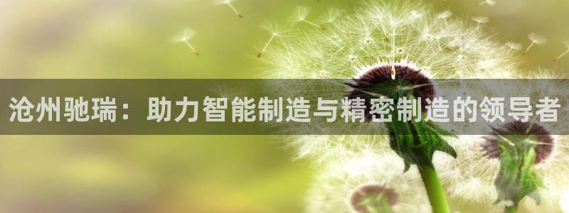 天辰娱乐平台地址