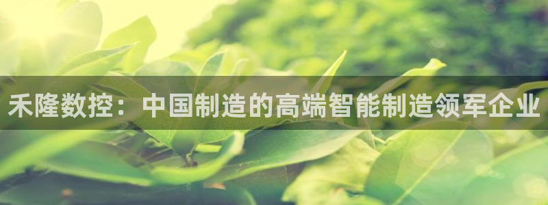 辰天娱乐：禾隆数控：中国制造的高端智能制造领军企业