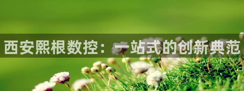 天辰娱乐-18113：西安熙根数控：一站式的创新典范