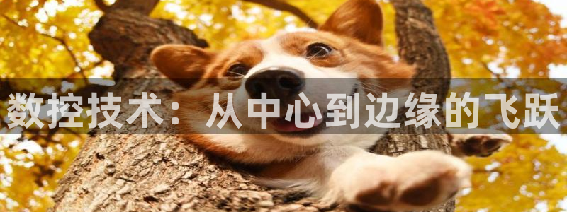天辰娱乐输了