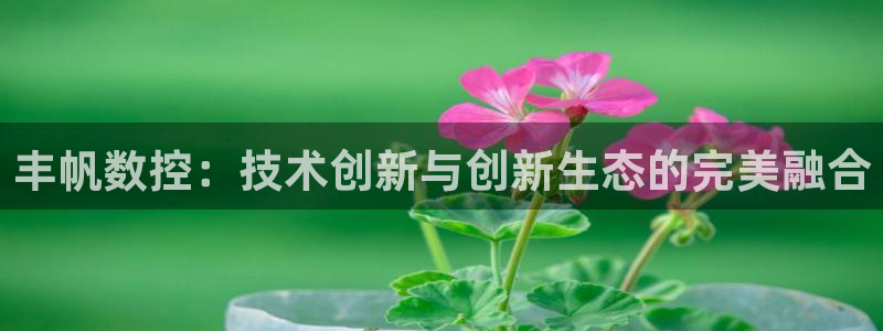 天辰娱乐39974神