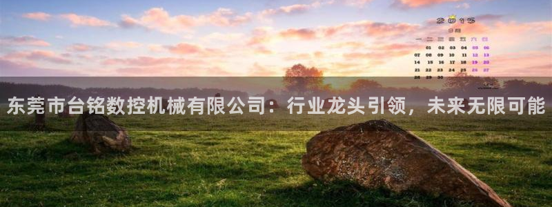 天辰娱乐分红