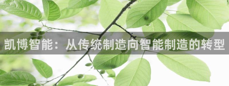 天辰娱乐总管年薪