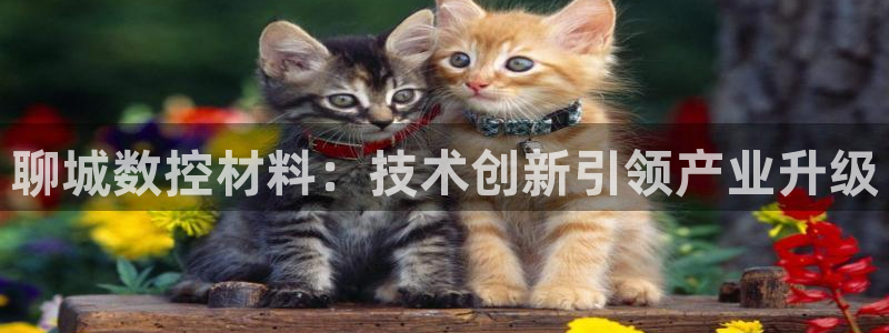 辰天娱乐:聊城数控材料:技术创新引领产业升级
