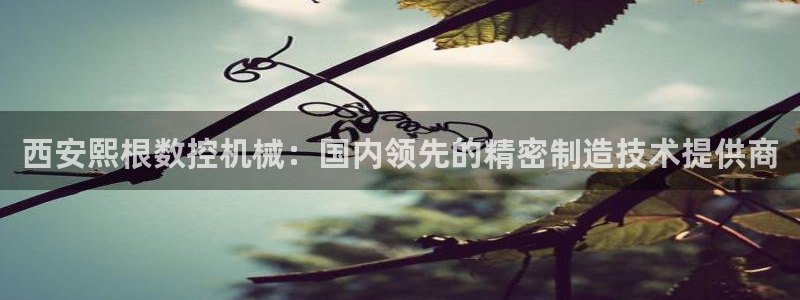 天辰 娱乐注册