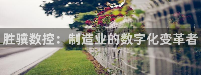 天辰娱乐解封