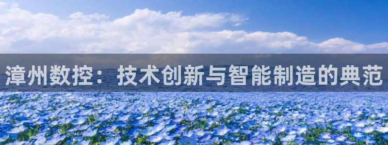 广东天辰娱乐