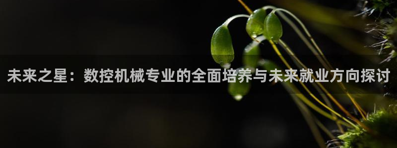 天辰辰娱乐代理