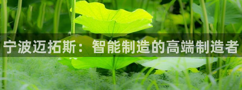 天辰2娱乐
