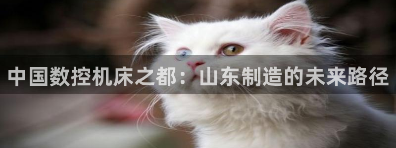 天辰娱乐61116:中国数控机床之都:山东制造的未来路径
