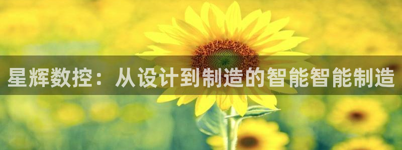 天辰娱乐彩票
