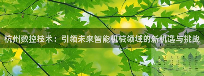 天辰娱乐游客