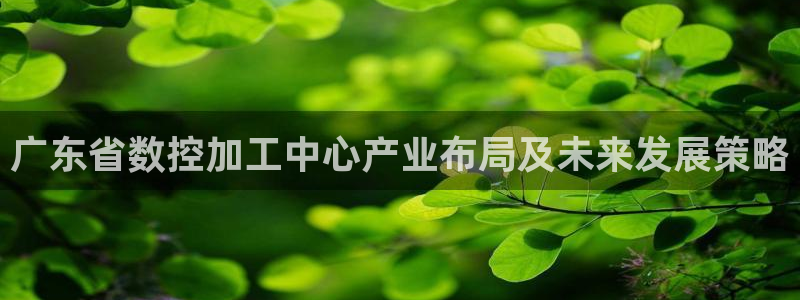 天辰娱乐简介