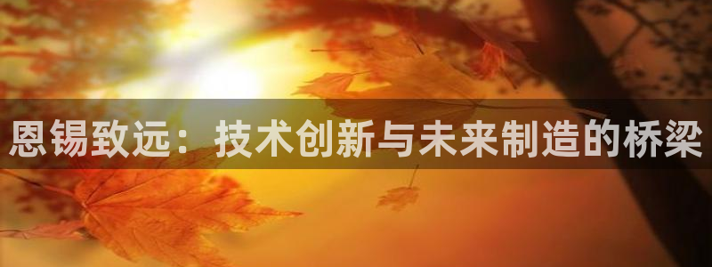 天辰娱乐白屏：恩锡致远：技术创新与未来制造的桥梁