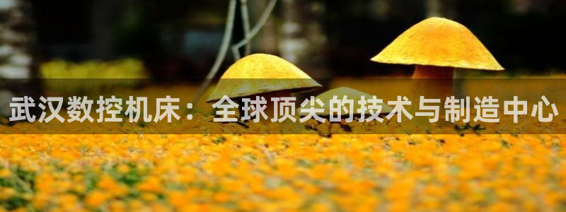 天辰娱乐股东：武汉数控机床：全球顶尖的技术与制造中心
