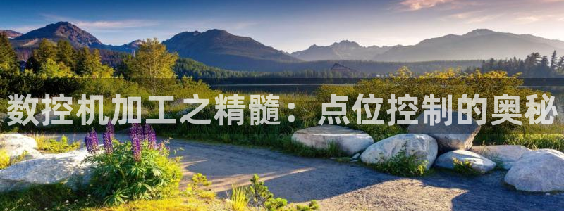 天辰娱乐黑人