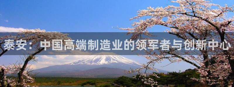 天辰娱乐简介