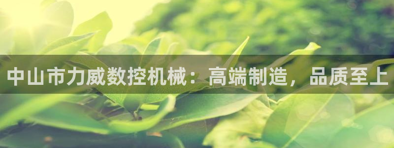 天辰娱乐平台app下载