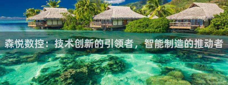 天辰娱乐公司：森悦数控：技术创新的引领者，智能制造的推动者