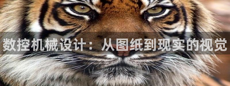 天辰娱乐软件：数控机械设计：从图纸到现实的视觉