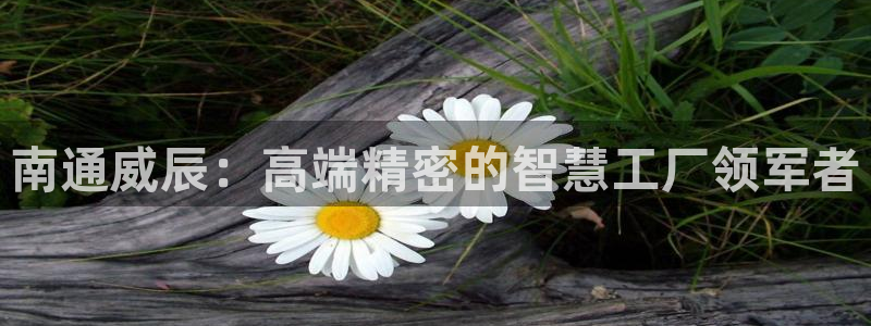 天辰娱乐怎么样